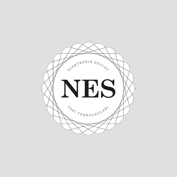 Nes Bilgi